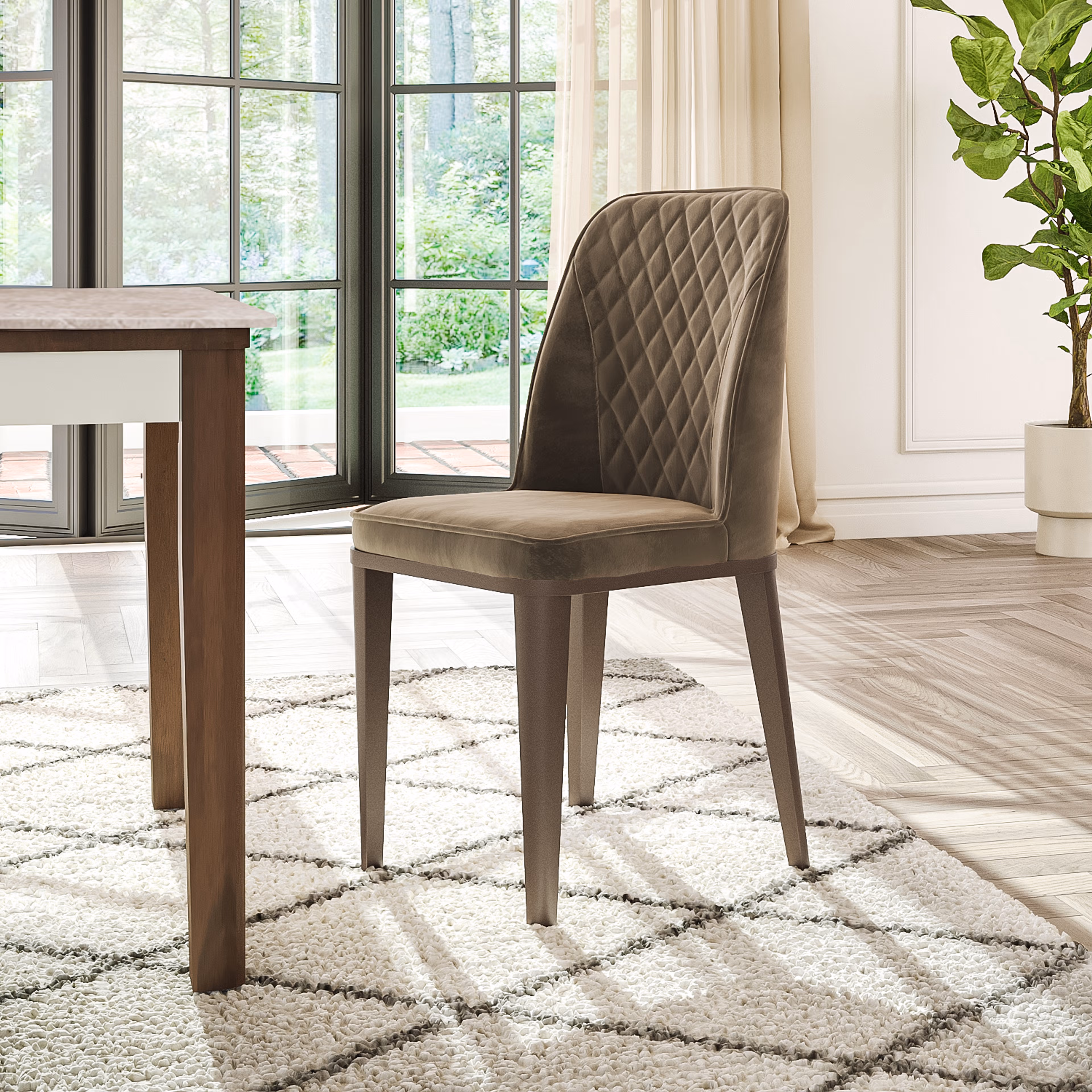 Dining Chair